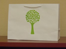 Environment-friendly paper bag